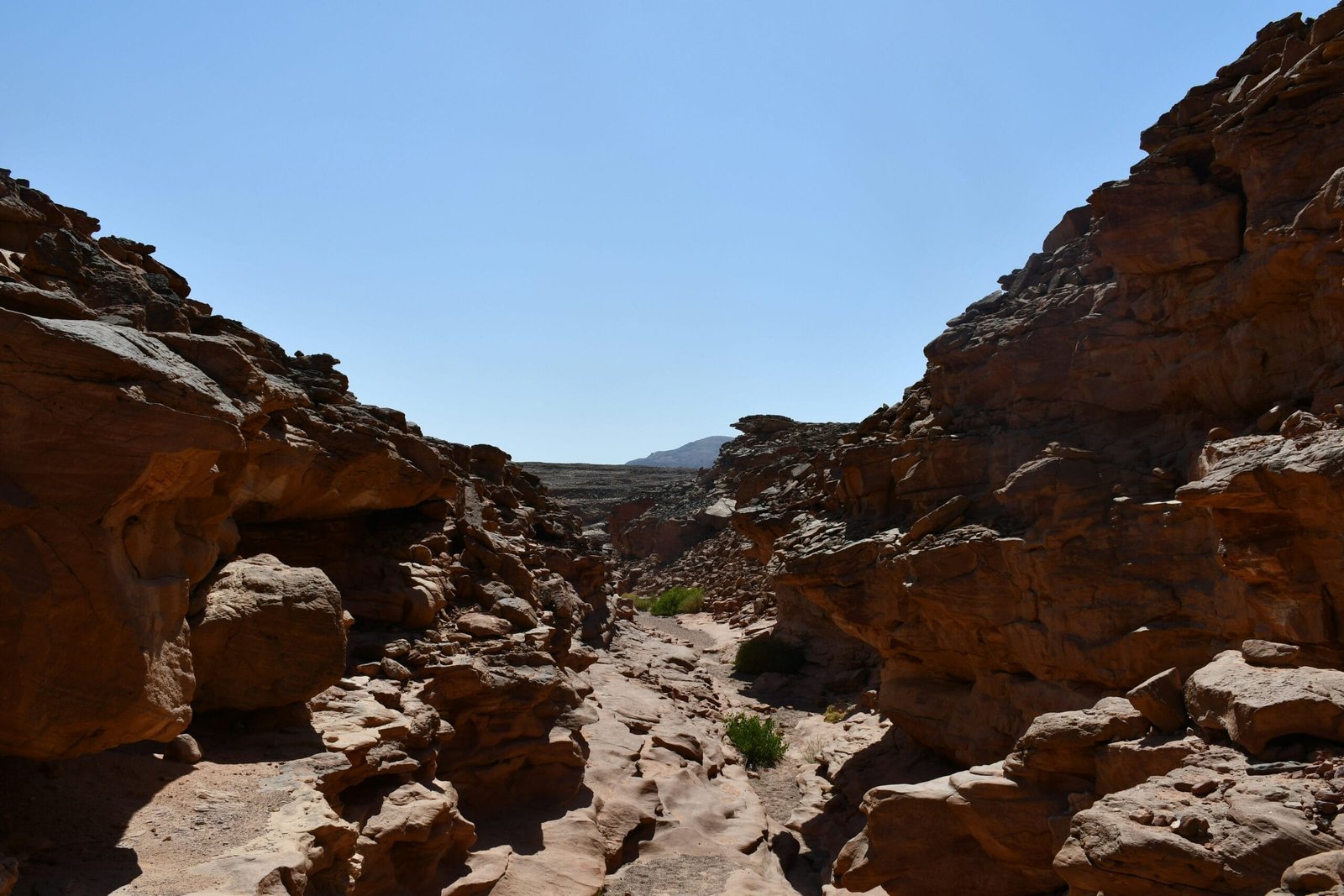 A rocky area with rocks and plants growing out of it